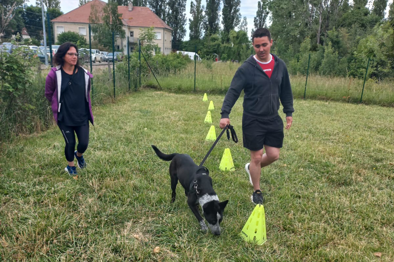 Retour sur le "Parcours Coloré" des stagiaires du DAQ 2.0