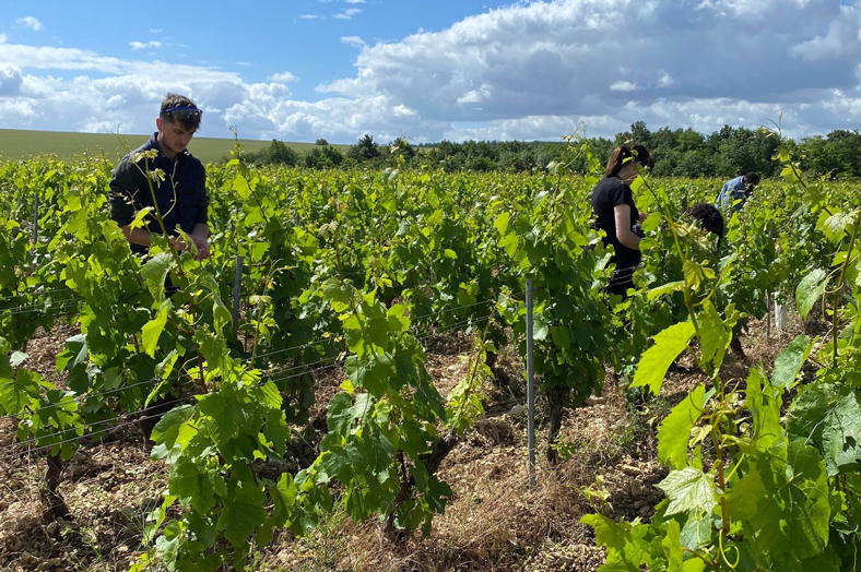 Retour sur le "Parcours Coloré" des stagiaires du DAQ 2.0