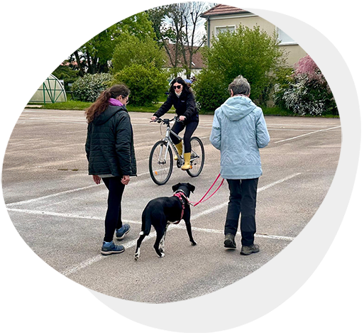 BP Éducateur Canin
