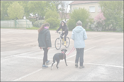 BP Éducateur Canin