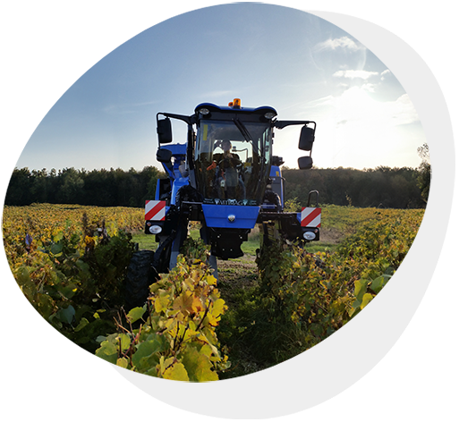 BPA Ouvrier Viticole