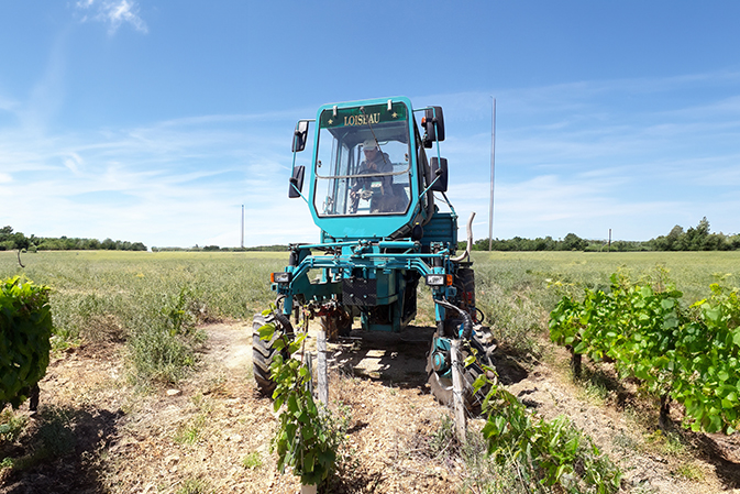 BPA Ouvrier Viticole