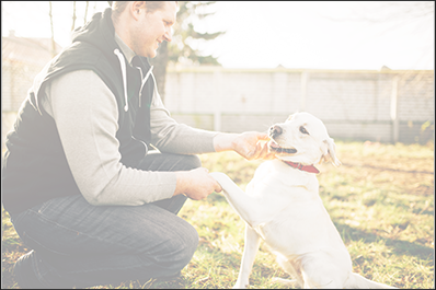 Pension Canine