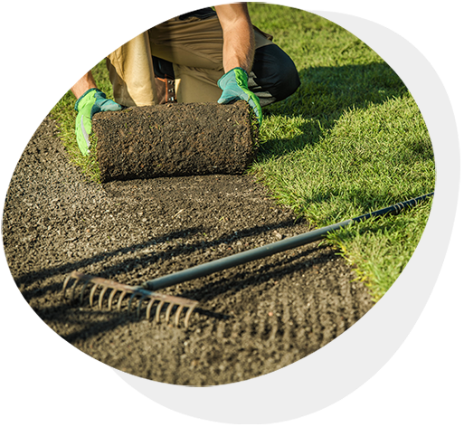 CS Sols Sportifs Engazonnés