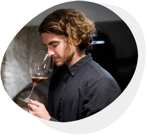Maîtriser les étapes clés de l'élaboration d'un vin