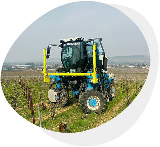 Travaux Mécanisés du Sol de la Vigne