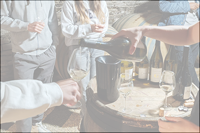 Anglais du Vin